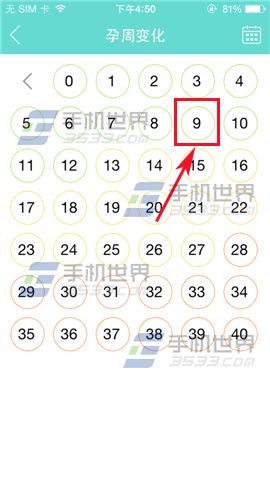 孕期伴侣怎么查看宝宝每周的变化情况？