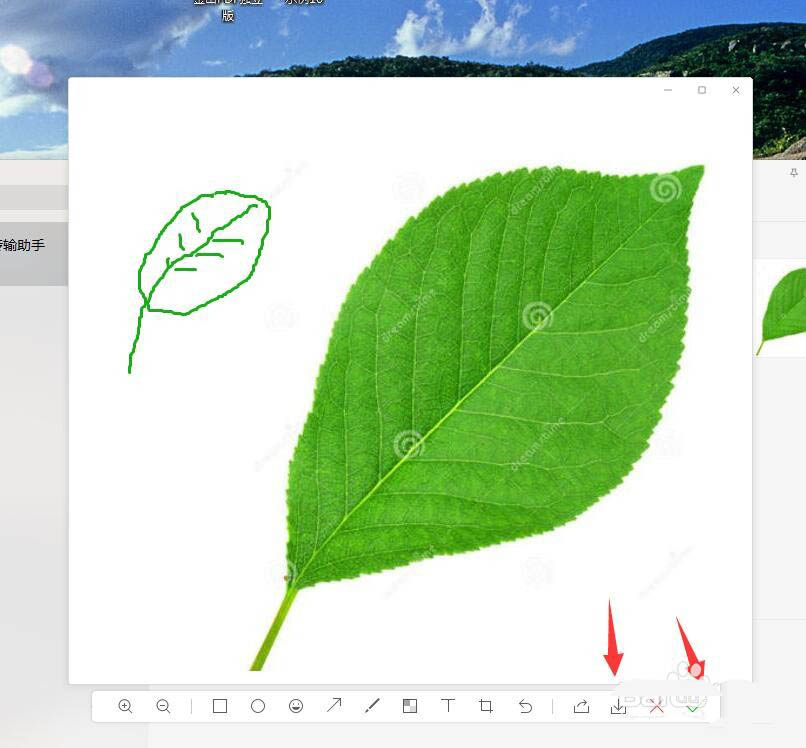 微信怎么发涂鸦给别人? 电脑微信给图片画图的技巧