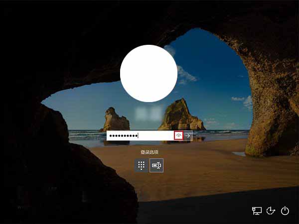 Win10安全登录界面的密码输入框怎么取消显示明文的按钮?