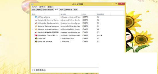 Win8系统如何禁用启动项？win8启动项设置禁用方法介绍