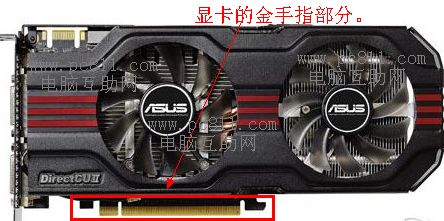 内存,显卡的金手指在哪里?