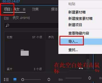 premiere视频怎么添加光源闪烁的效果?