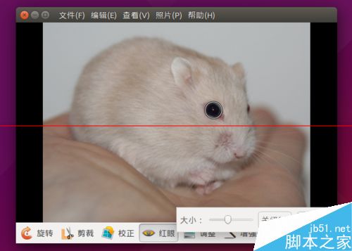 Ubuntu系统用自带的shotwell软件简单编辑照片的教程