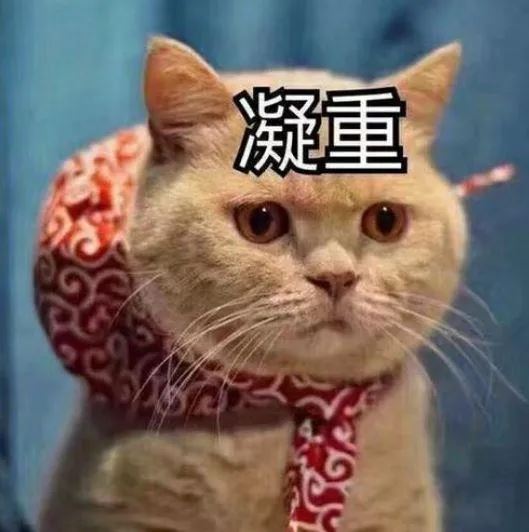 思维导图免费软件哪个好? MindManager/MindMaster和XMind功能对比分析