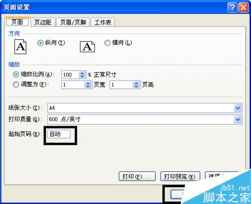 excel中如何插入不同的格式页码?