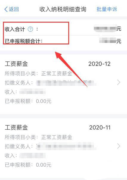 人所得税APP怎么查询2020年度个人收入纳税明细?
