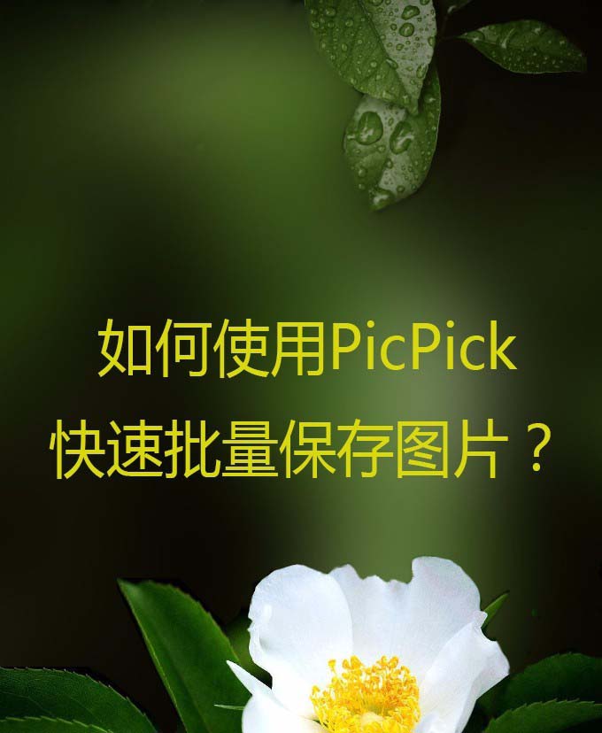 PicPick怎么批量保存图片?