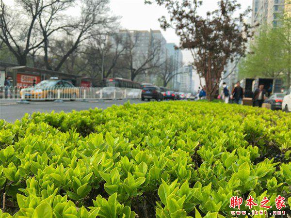 9.7寸iPad Pro怎么样？9.7英寸iPad Pro全方位详细评测图解