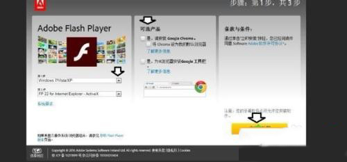 win10打开网页发生actionscript错误的解决方法