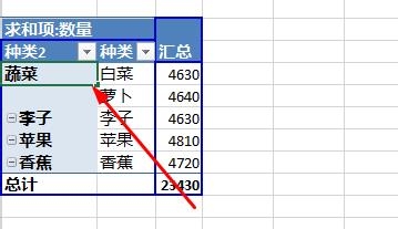 Excel2013数据透视表字段分组图文步骤