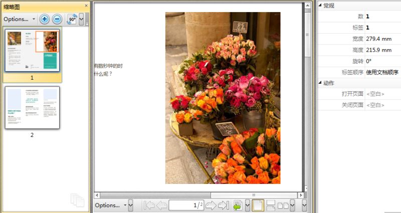 PDF编辑器中对显示页面的分割方法