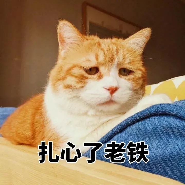 思维导图免费软件哪个好? MindManager/MindMaster和XMind功能对比分析