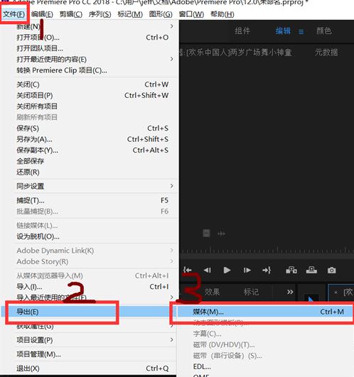 premiere怎么将视频声音导出为MP3格式