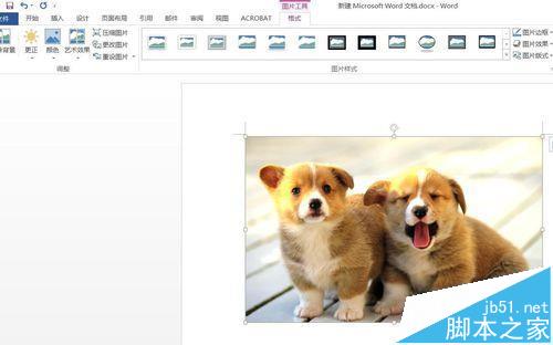 Word2016插入图片怎么调整亮度?