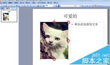 ppt2013怎么设置文字环绕效果?