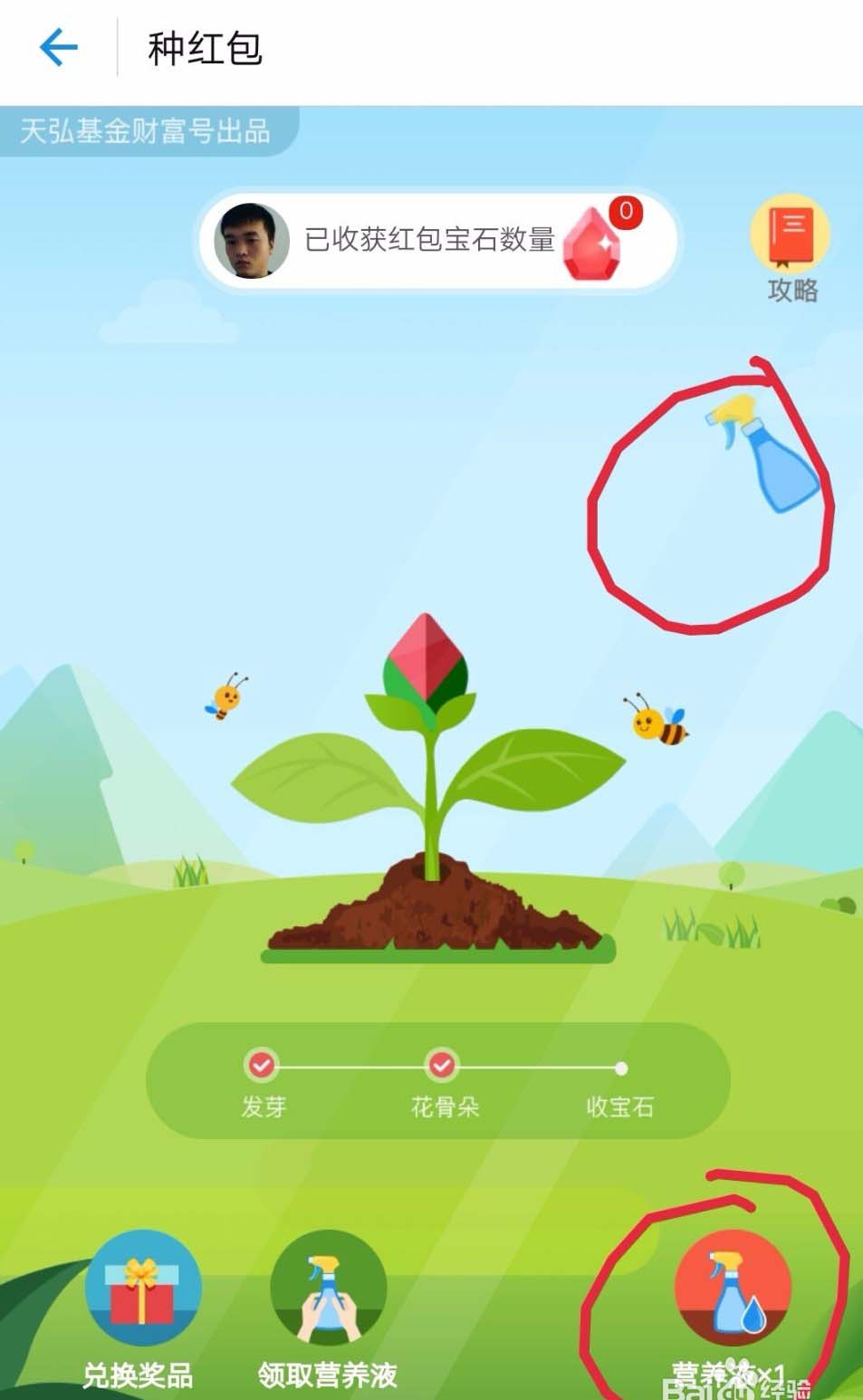 支付宝天弘基金怎么种红包免费兑换奖品?
