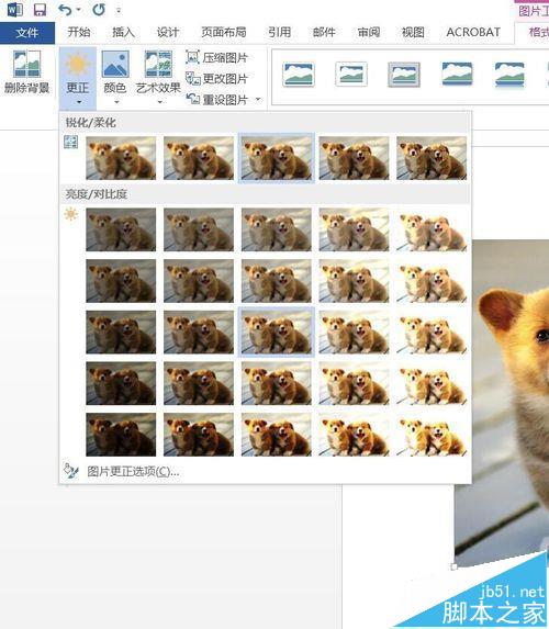 Word2016插入图片怎么调整亮度?