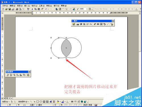 Word怎么将两个圆交叉重叠部分填充阴影?
