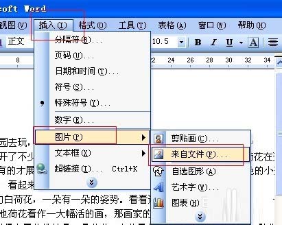 word文字环绕图片设置方法图解