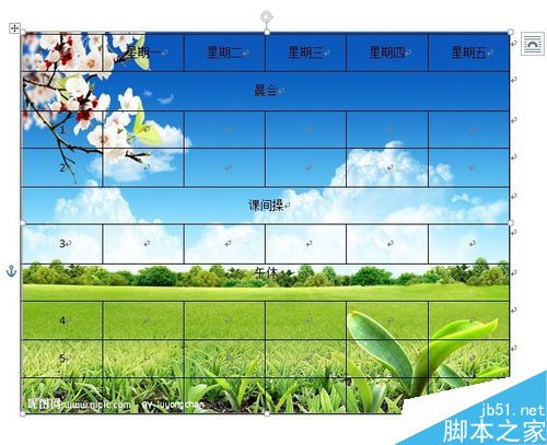 怎么给word表格设置背景呢?