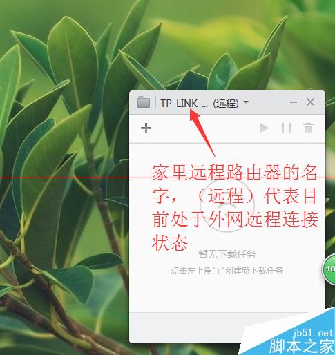小米路由器2代1T版本 PC端使用远程下载的详细方法