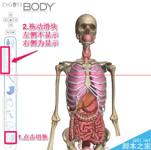人体浏览器是什么？谷歌人体浏览器的使用方法