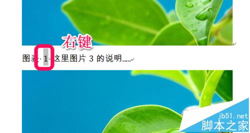 Word图表怎么设置自动生成目录?