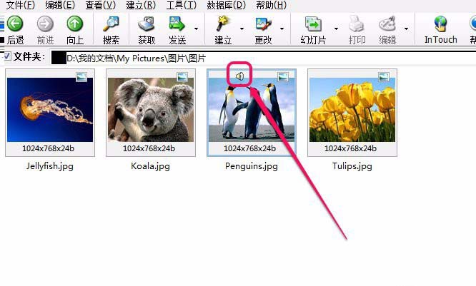 acdsee图片怎么添加音频音乐?
