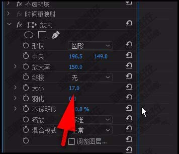 premiere猫咪的眼睛怎么放大和增亮?