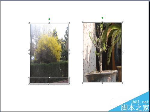 ppt中怎么制作翻动相册的动画?