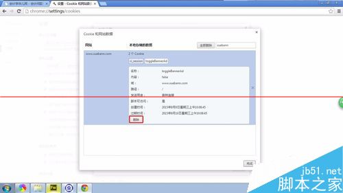 chrome浏览器设置删除指定网站的指定cookie缓存的详细教程