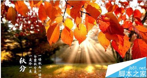 windows自带的画图工具怎么剪切调整图片大小?