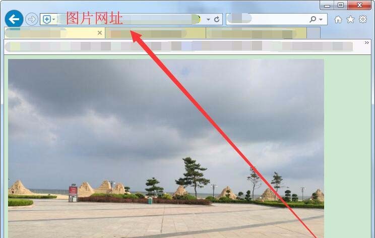 新浪图床是什么? 新浪图床的使用方法