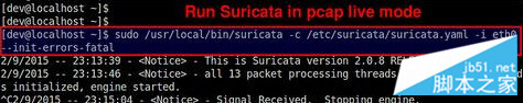 如何在Linux上安装Suricata入侵检测系统?