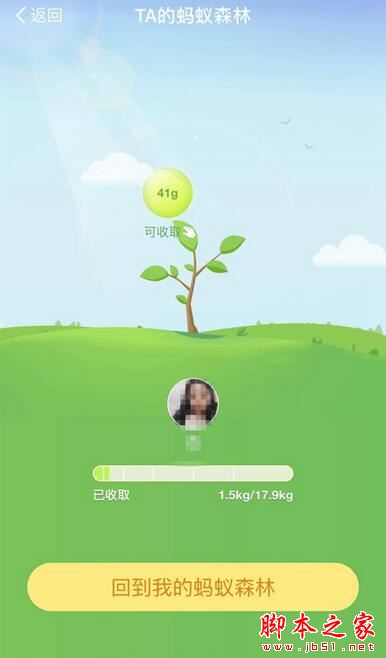 支付宝怎么获得绿色能量 支付宝蚂蚁森林收集绿色能量方法