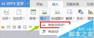 wps文字怎么打印背景? wps文字背景打印的教程