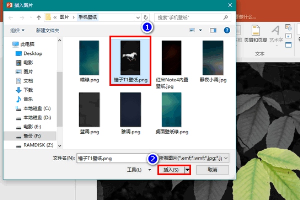 PPT快速去除图片背景的教程