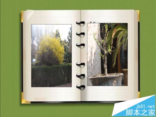 ppt中怎么制作翻动相册的动画?