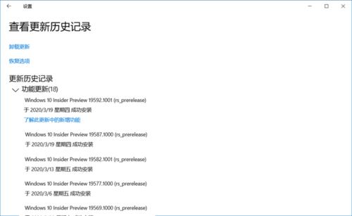 Win10 19592快速预览版怎么手动更新？