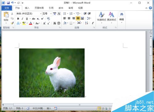 Word2010怎么提取局部的图像?