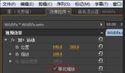 Premiere怎么不等比例缩放视频?
