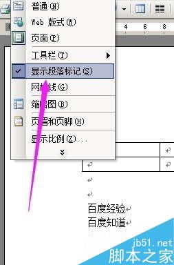 如何去除word文档中的箭头(段落标记)?