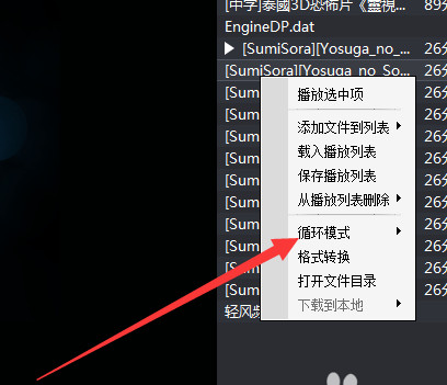 暴风影音怎么循环播放 暴风影音循环播放设置使用教程