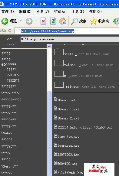 入侵土耳其网站实例