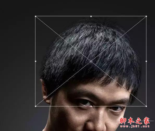 imagemotion怎么使用？ps插件imagemotion中文版安装操作教程(附下载)
