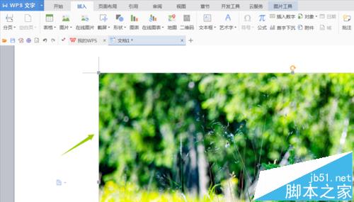 wps文字怎么打印背景? wps文字背景打印的教程