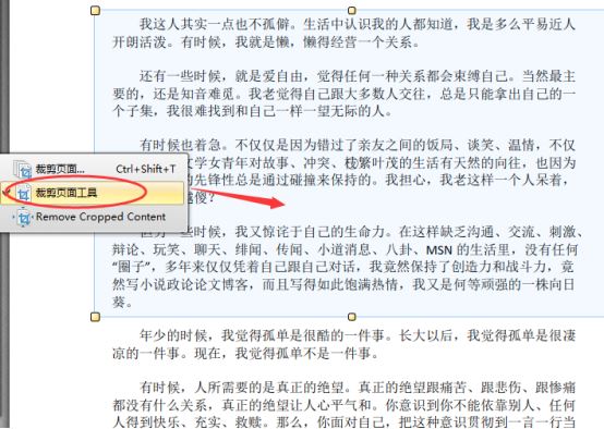 迅捷pdf编辑器如何裁剪pdf页面