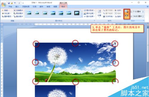Word如何快捷地对图片进行裁剪?