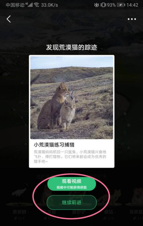 支付宝蚂蚁森林保护地怎么进行巡护?