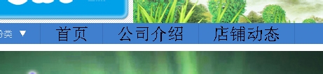 淘宝店铺导航装修怎么编辑？淘宝新旺铺导航CSS代码使用修改技巧